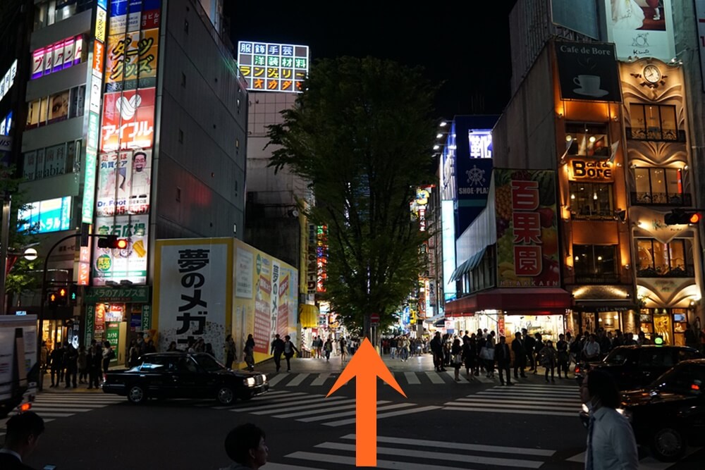 新宿に来る人なら分かると思うけど、あのフルーツ屋さん（百果園）のある道ね。